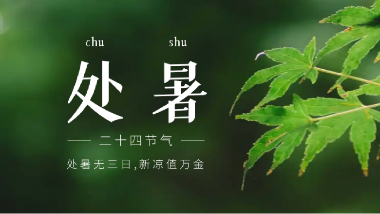 億萊瑞德 | 今日處暑